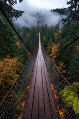 Obraz premium wooden bridge in the forest