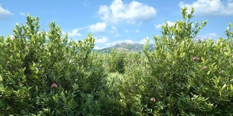 Obraz premium Lush Green Shrubbery Mountain Landscape Sunny Day Nature Scene