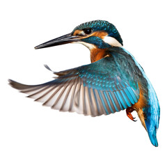 High-resolution photo of a kingfisher bird mid-flight, isolated on transparent background