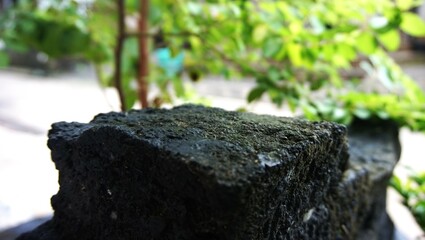 Fototapeta premium flat stone in the garden, suitable for your product photo spot