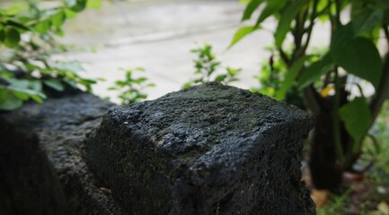 close up photo of a flat mossy rock, perfect for your product stand photo