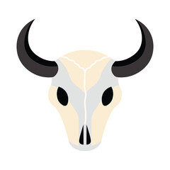 Cow Skull Illustration
