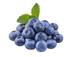Blueberry fruit png clipart, healthy food on transparent background
