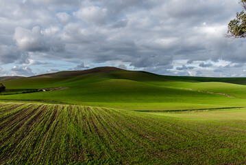 Beautiful landscape view from the north of Tunisia