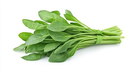 water spinach on white background. water spinach
