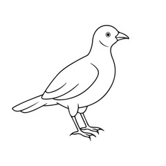 bird line art silhouette vector image