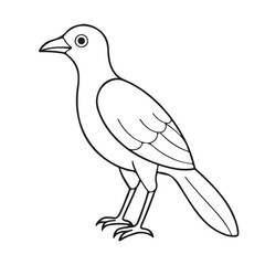 bird line art silhouette vector image