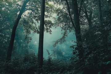 Fototapeta premium A dense forest with lush green trees and foliage