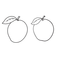 mango silhouette vector image