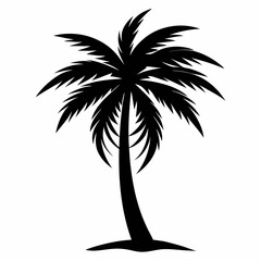 palm trees silhouettes