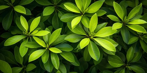 Vibrant green leaves emerging from a cluster of rhododendrons, showcasing the beauty of green leaves within the lush foliage of rhododendrons in nature s habitat.