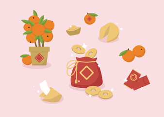 A collection of  Chinese new year items. Tangerines, fortune cookie, money bag, coins, money pocket. Cartoon vector illustration.