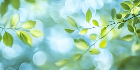 Fototapeta premium Abstract blurred images featuring vibrant green leaves against a serene sky, capturing the essence of nature s beauty in blurred visuals of green leaves and tranquil sky elements.