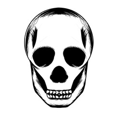 Skull head vector illustration in elegant line style. This minimalist design gives a classic impression and is suitable for projects with a gothic or horror theme.