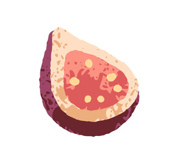 Fig fruit, cut half. Fresh exotic tropical food, ripe sweet pulp with seeds, cross-section piece, slice. Natural healthy nutrition, summer eating. Flat vector illustration isolated on white background