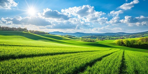 Fototapeta premium Vibrant green fields and a bright blue sky create stunning rural landscapes. Experience the beauty of green fields and blue sky in this picturesque rural setting.