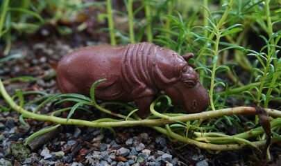 hippo toy, hippo animal toy photographed in bushes with green plants and grass, on the ground and gravel, looks real
