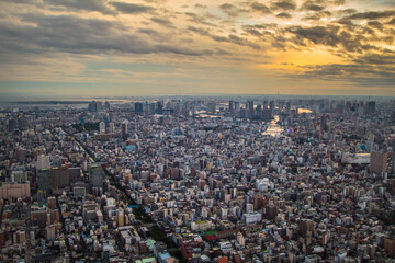 Fototapeta premium Tokyo