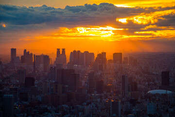 Fototapeta premium Tokyo