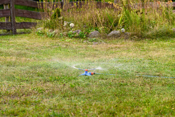 Podlewać trawę w ogrodzie,  odkręcony zraszacz wąż ogrodowy na środku trawnika