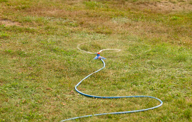 Włączony wąż ogrodowy leży na trawniku i zrasza murawę boiska © Paweł Kacperek