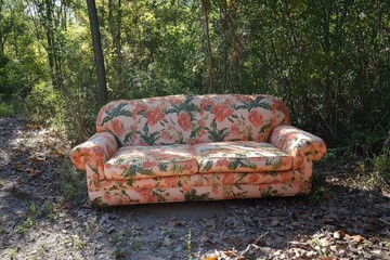 A vibrant, floral-patterned sofa is incongruously placed in a sunlit clearing within a dense forest, evoking curiosity and inviting interpretations of its strange setting.