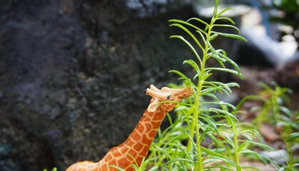 giraffe toy photographed close up to its head. looks cute and unique with nature set, green plants