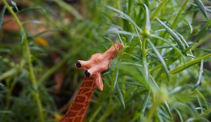 photo of toy giraffe in the bushes with green plants, in the photo it looks like it is real in the wild