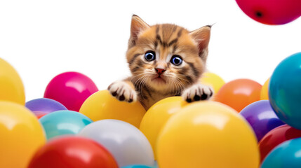 Cute kitten peeking out from a pile of colorful balloons, greeting card with a fluffy pet, isolated
