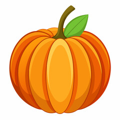 pumpkin isolated on white background