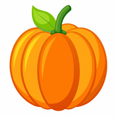 pumpkin isolated on white background