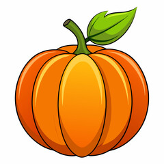 pumpkin isolated on white background