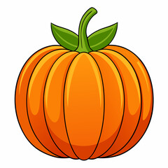 pumpkin isolated on white background