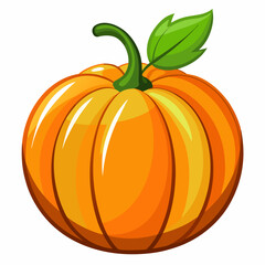 pumpkin isolated on white background