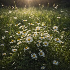 A whimsical bouquet of daisies and clovers in a magical meadow setting.