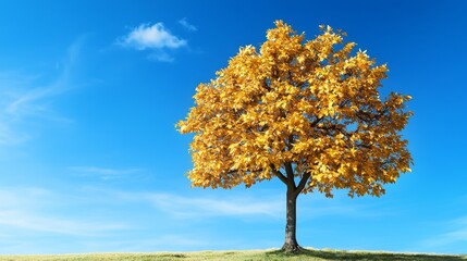 Results follow success and optimism. Vibrant autumn tree against a clear blue sky.