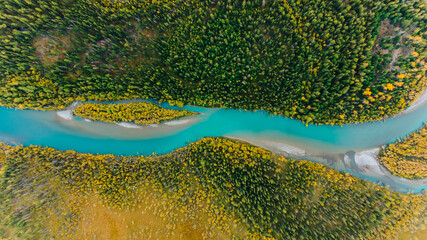 Breathtaking aerial view of a vibrant turquoise river winding its way through a dense forest displaying a mix of green and yellow autumn foliage