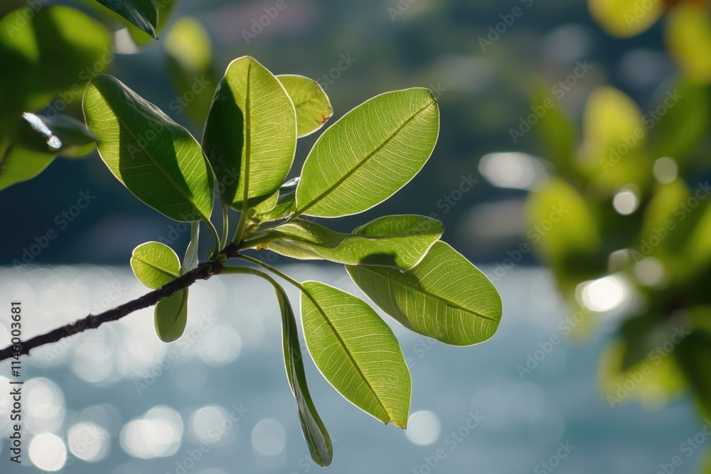 Poster close-up shot of a single leaf attached to a tree branch