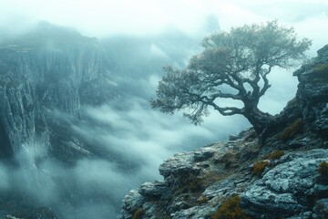 A single tree stands isolated on a rocky cliff