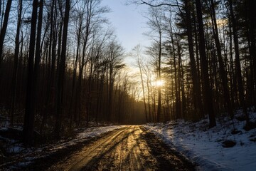 A dirt road winding through a snowy forest, suitable for winter landscapes and outdoor scenes