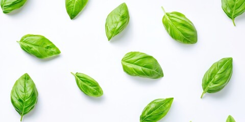 Obraz premium Fresh sweet basil leaves presented against a clean white background, showcasing the vibrant green color and texture of sweet basil, perfect for culinary and herbal design themes.