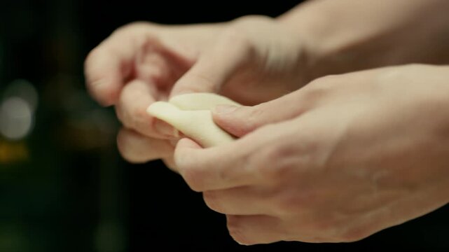 homemade dumplings traditional cuisine hands making