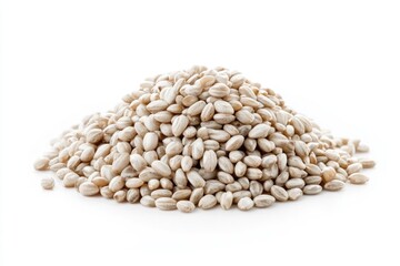 Fototapeta premium barley