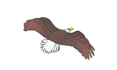 Flying cartoon eagle bird, color illustration