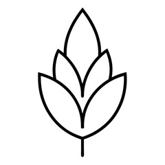 illustration of a leaf