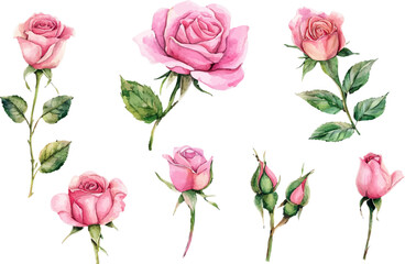 bouquet of roses
