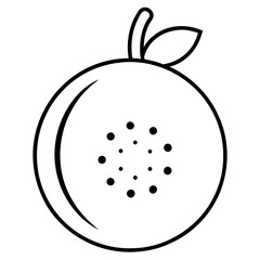 illustration of an apple
