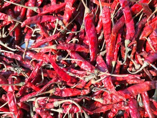 Red dried chilies in tray, out door Chiangmai Thailand.