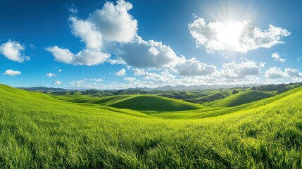 Fototapeta premium Beautiful green grassland, rolling hills, clear blue sky with white clouds, stunning landscape photography.