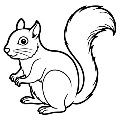 Cute Squirrel Silhouette line art  black vector illustration
